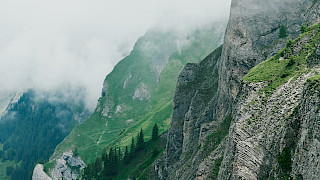 A Few Secrets Behind the Cambrian’s Rise to Fame